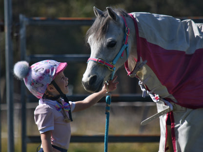 Mare and Me Pink Moondancer Riding Shirt