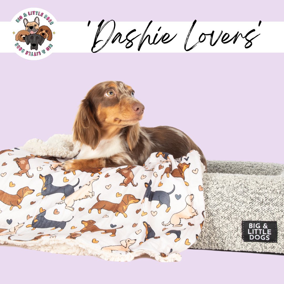 Dashie Lovers Doggy Bandana S/M