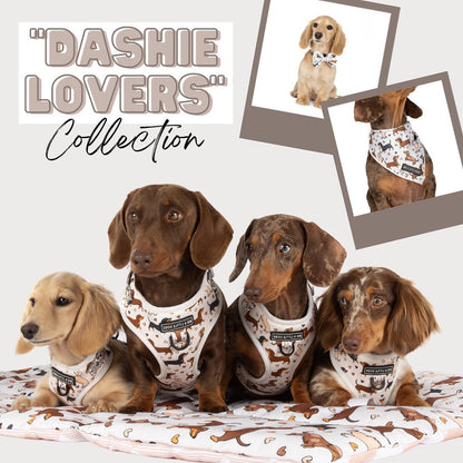 Dashie Lovers Doggy Bandana S/M