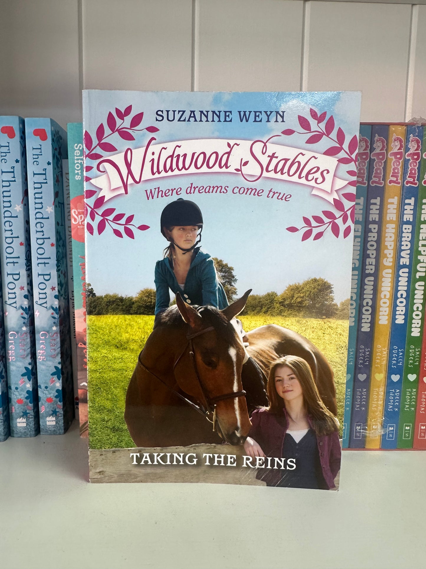 Taking the Reins a Wildwood Stables Novel (preloved)