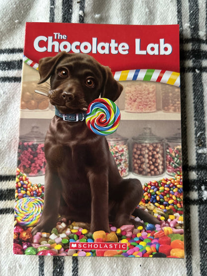 Scholastic Chocolate Lab 3 Pack