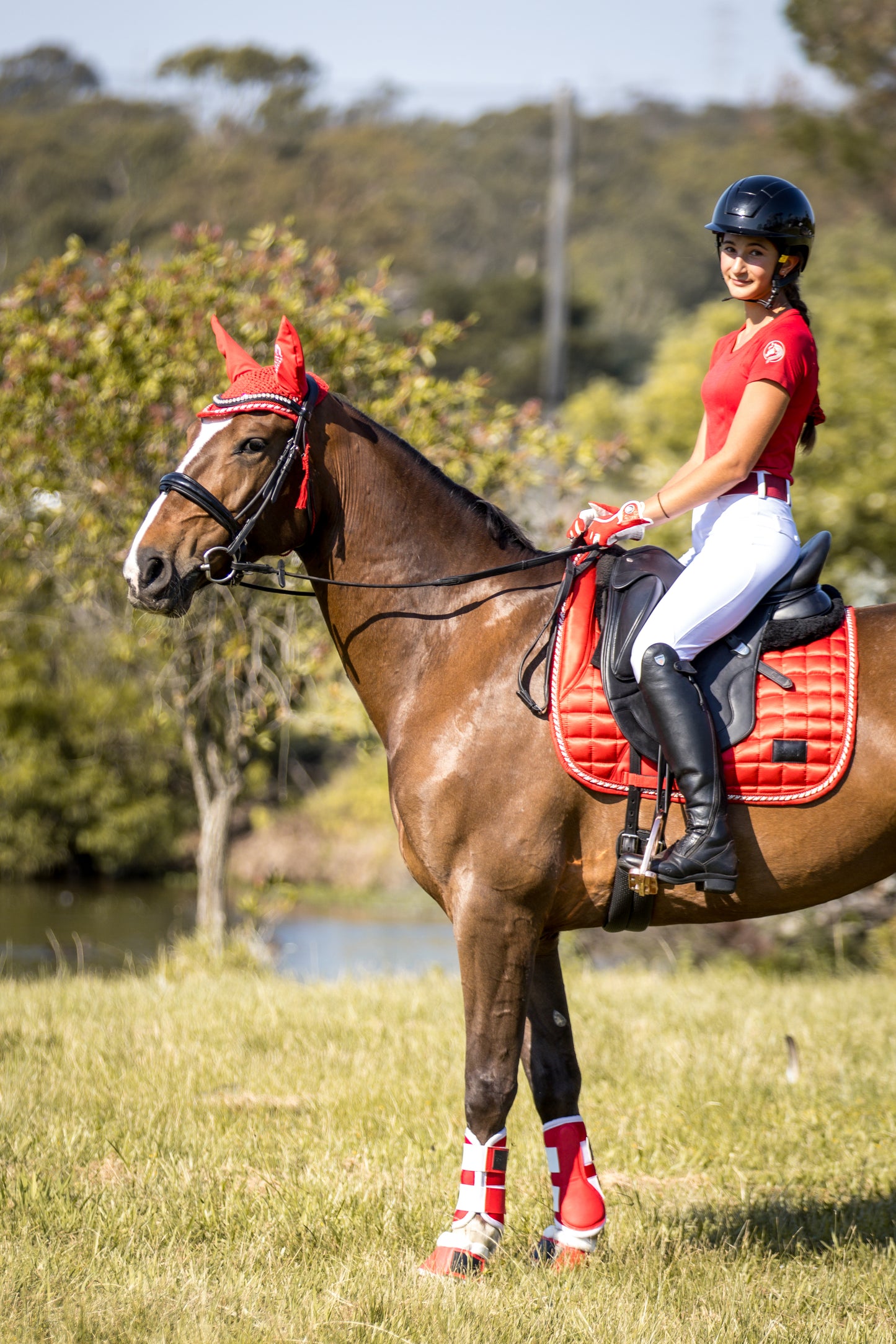 Lady Godiva Equestrian Limited Edition Candy Cane Red Pony Dressage Pad