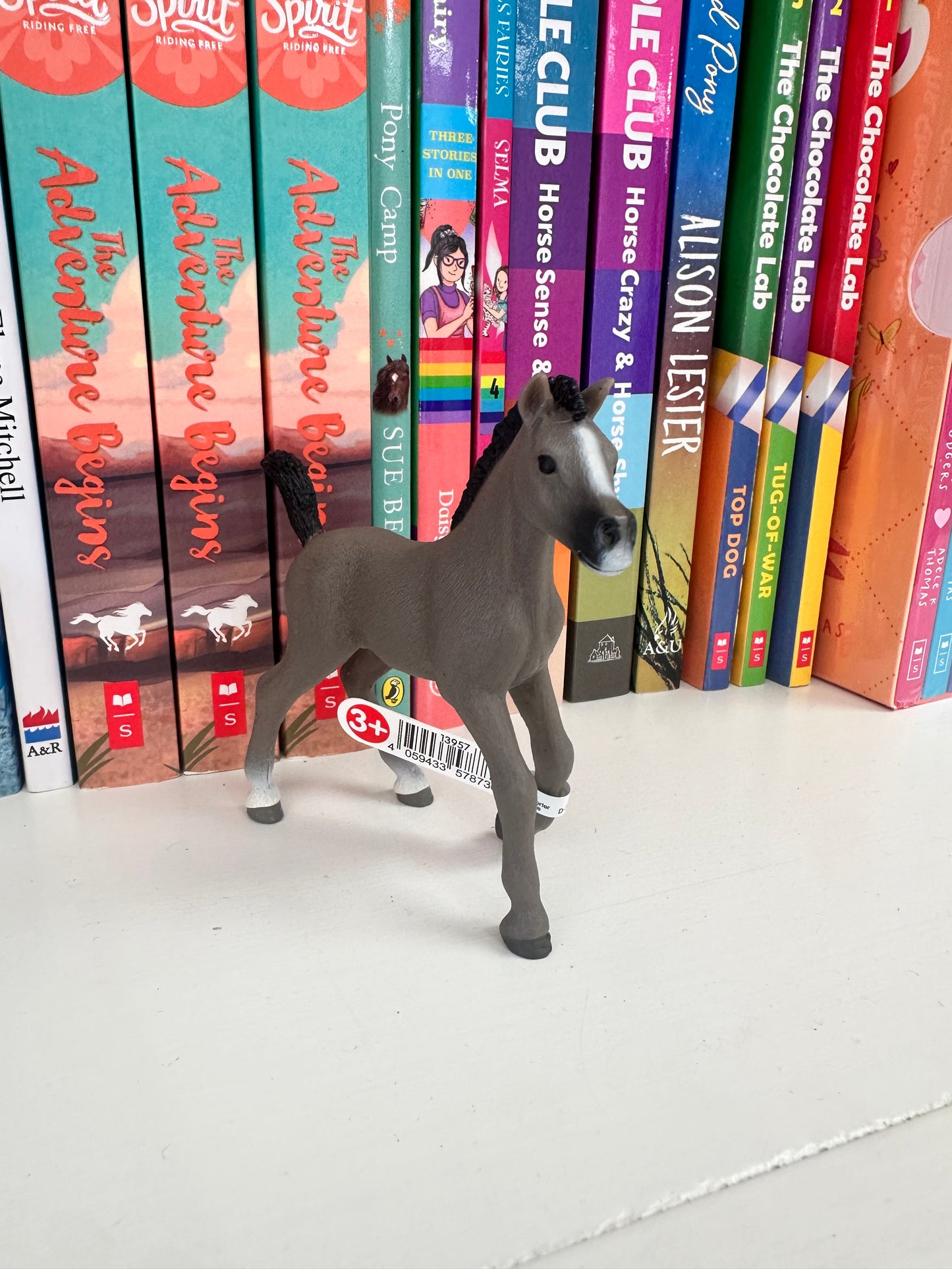 Schleich Selle Francais Foal