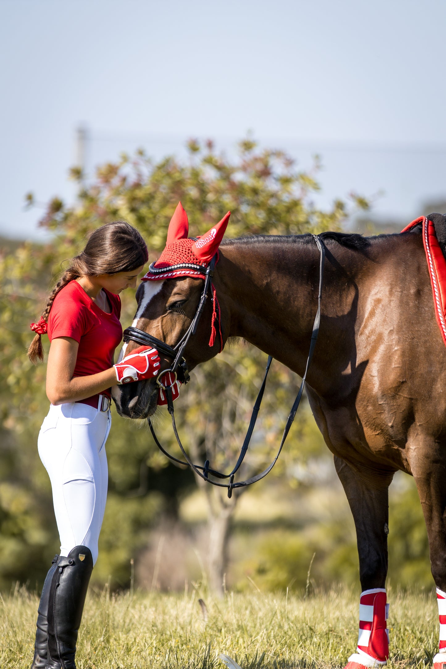 Lady Godiva Equestrian Limited Edition Candy Cane Red Pony Dressage Pad