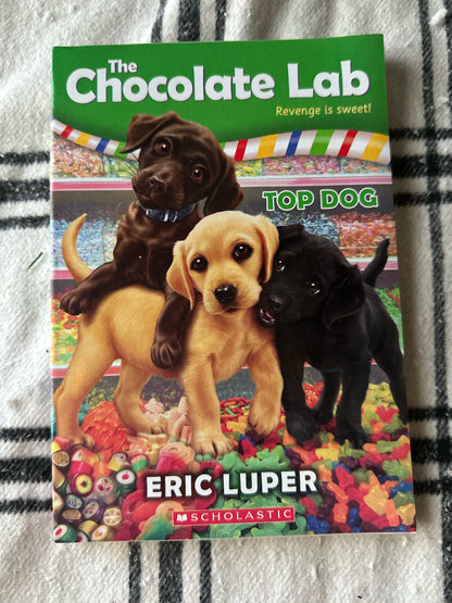 Scholastic Chocolate Lab 3 Pack