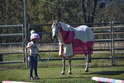 Mare and Me Pink Ballet Frill Riding Tights in Navy