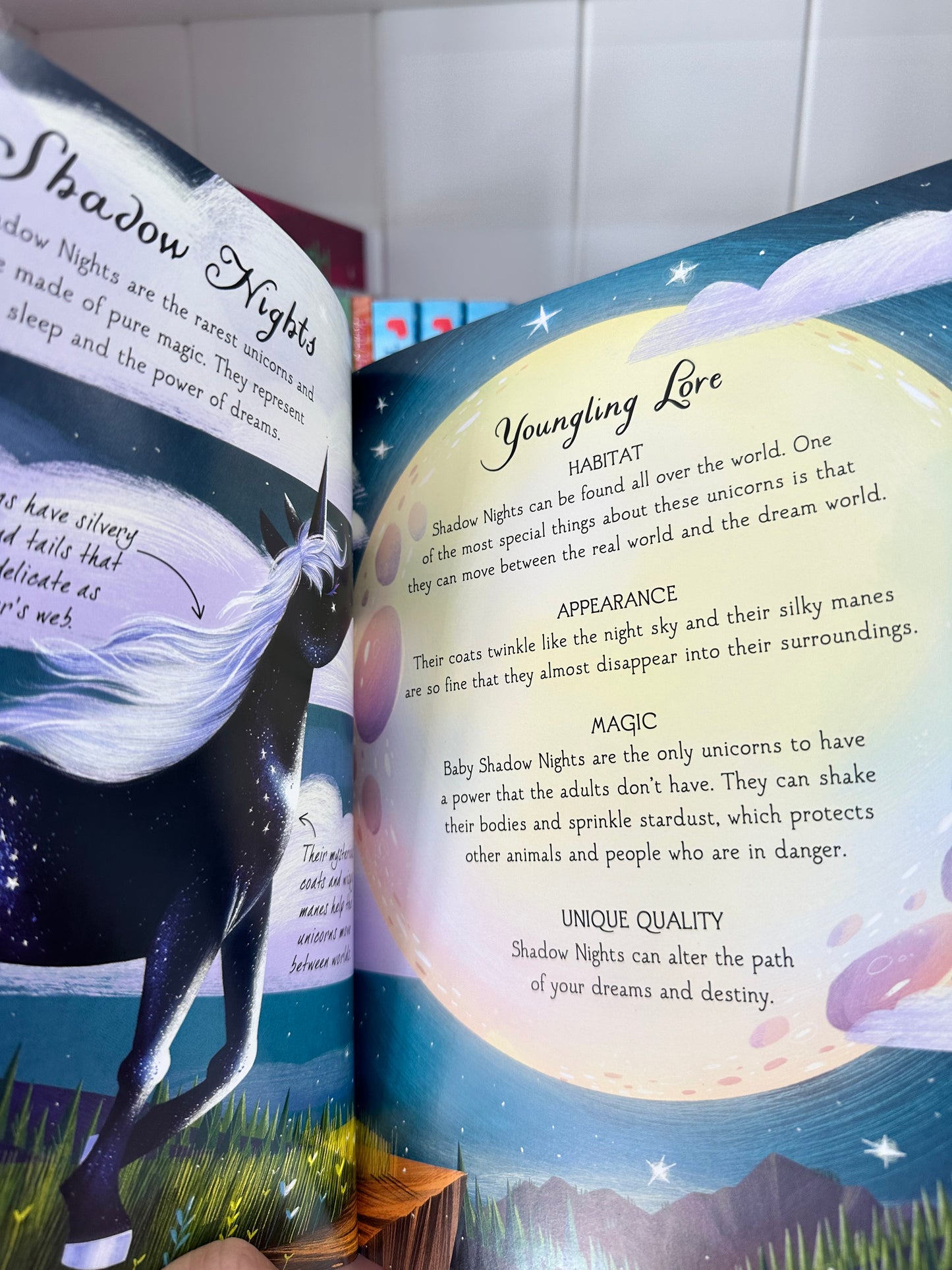 The Magical Unicorn Society; Baby Unicorns a Handbook