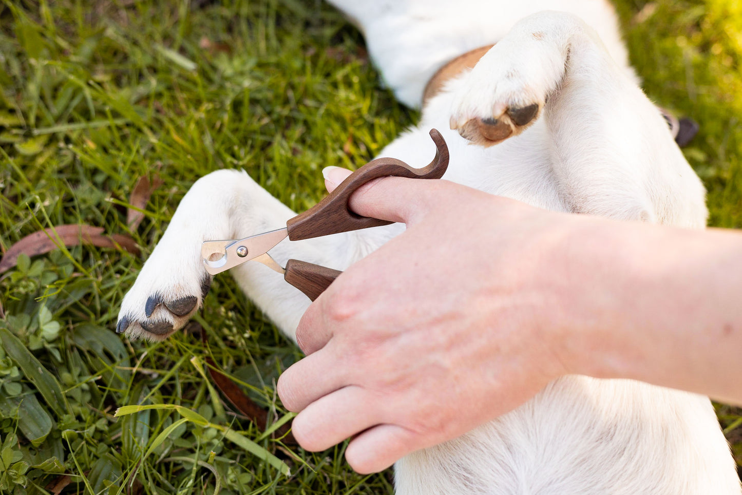 Hair Pony Pooch Nail Clippers