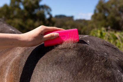 Hairy Pony Shedding Block