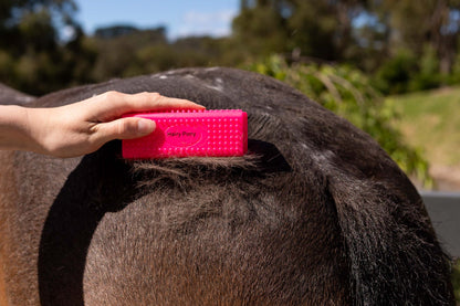 Hairy Pony Shedding Block