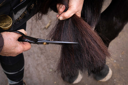 Hairy Pony Tail Trimming Scissors