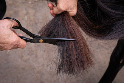 Hairy Pony Tail Trimming Scissors