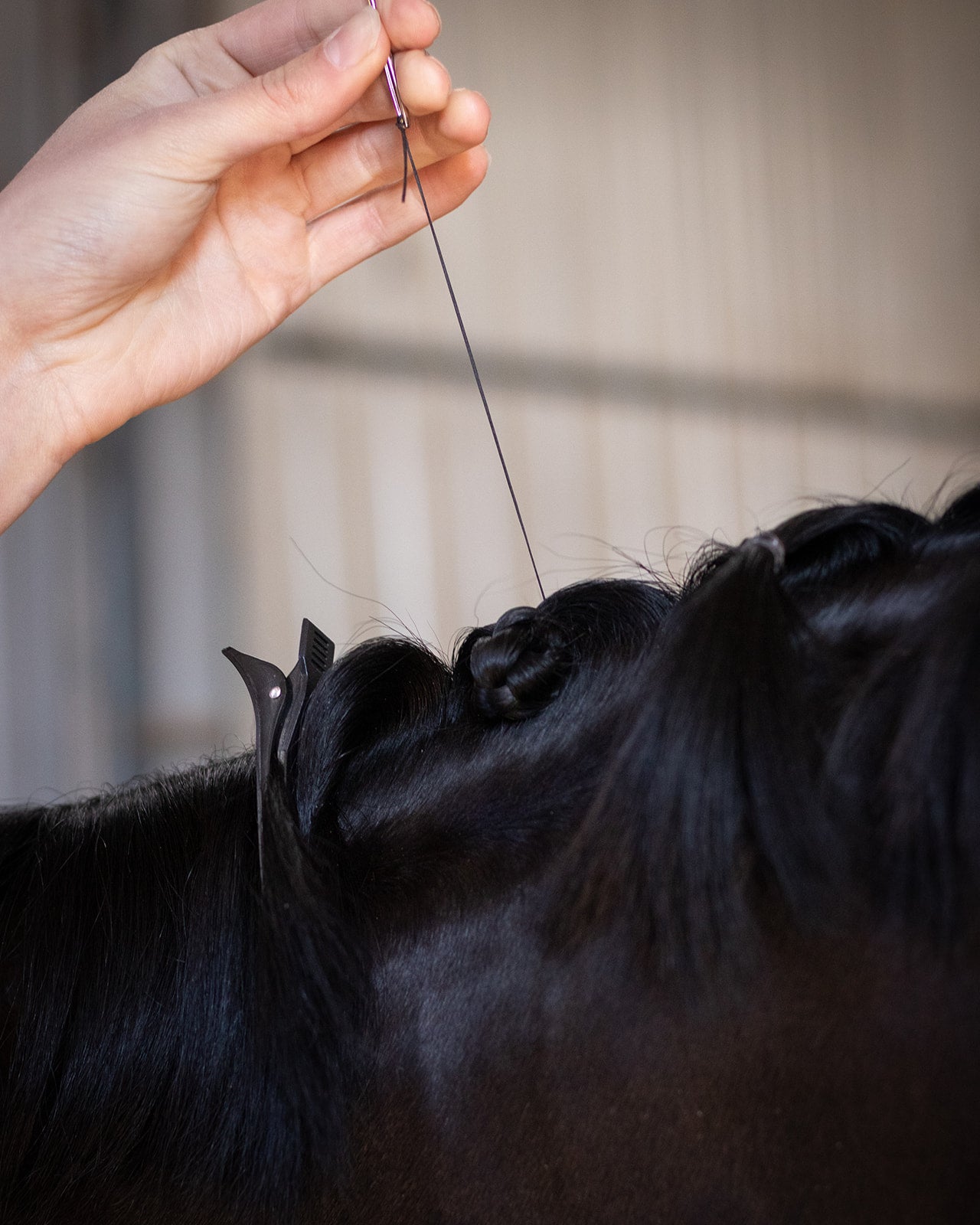 Hairy Pony Flat Waxed Plaiting Thread