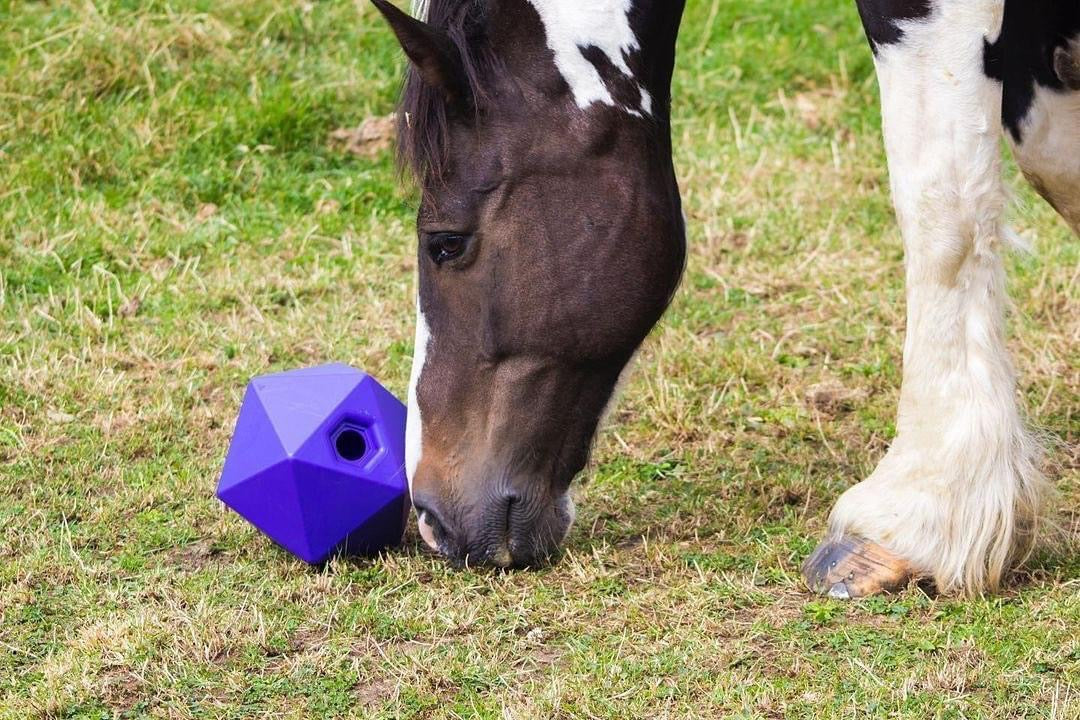 Red Gorilla Drip Feed Horse Ball