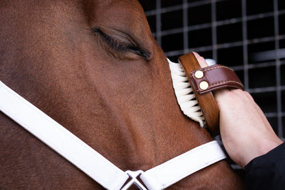 Hairy Pony Original Brush Kit