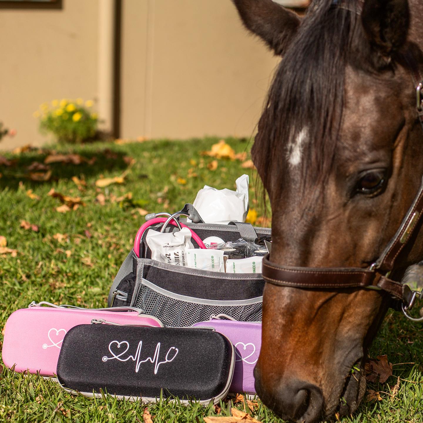 Equinurse Equine "Essentials" First Aid Kit